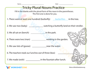 Tricky Plural Nouns Practice Worksheet