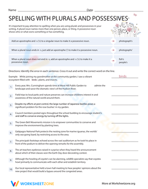 Spelling with Plurals and Possessives Practice Sheet