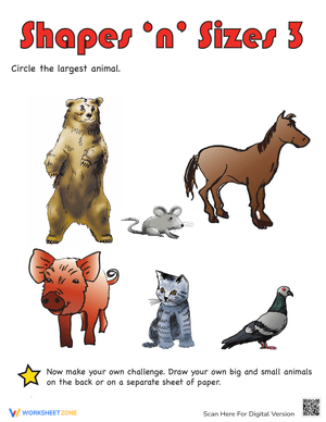 Shapes and Sizes Comparison Worksheet