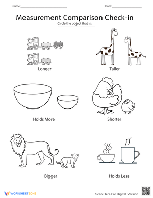 Measurement Comparison Check-In Worksheet