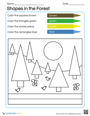 Shapes in the Forest