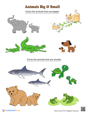 Animals Big and Small: Comparing Animal Sizes