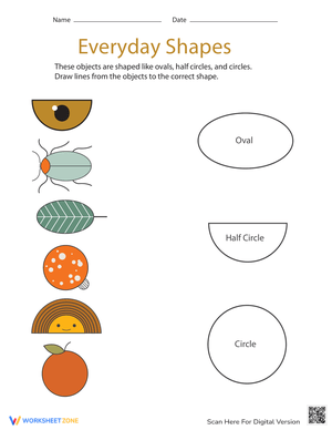 Everyday Shapes: Preschool Math Worksheet