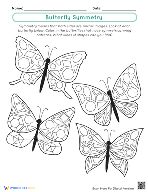 Explore Butterfly Symmetry Worksheet