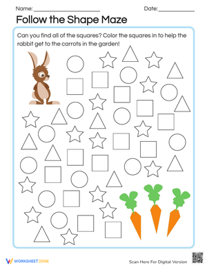 Follow the Shape Maze