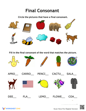 Final Consonant Sounds Phonics Worksheet