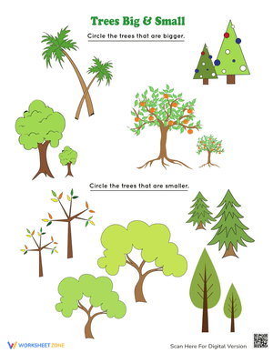 Trees: Differentiating Big and Small Trees