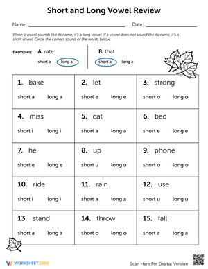 Long and Short Vowel Review Worksheet
