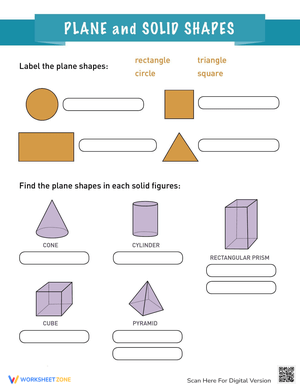 Plane and Solid Shapes Worksheet