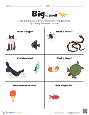 Comparing Big and Small Objects