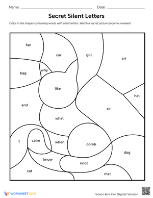 Secret Silent Letters Identification