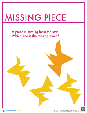 Find the Missing Piece Puzzle
