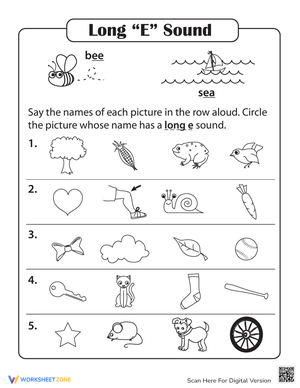 Learning Long Vowels: E Practice