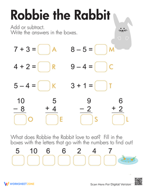 Rabbit Mixed Math Practice Worksheet