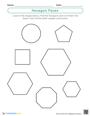 Identifying Hexagon Faces Practice