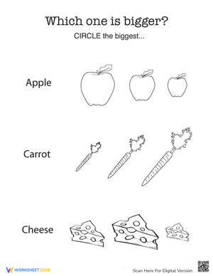 Which One is Bigger? Comparison Skills