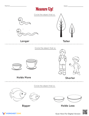 Measurement Assessment Worksheet