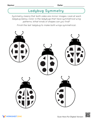 Ladybug Symmetry Worksheet