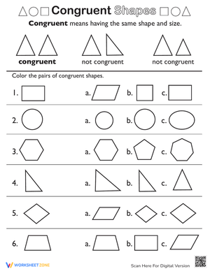 Congruent Shapes Basics