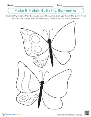 Complete the Butterfly Symmetry Worksheet