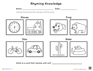 Rhyming Knowledge Assessment
