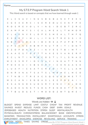 Financial Literacy Word Search - Budget & Money Skills