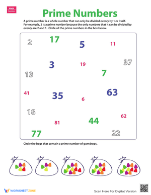 Prime Numbers: Identifying Worksheet