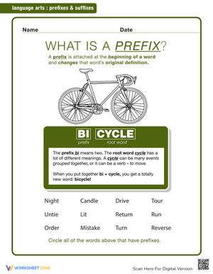 Prefix and Root Word Activity Worksheet