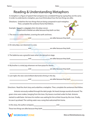 Reading & Understanding Metaphors