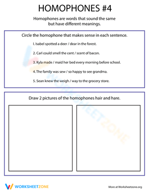 Homophone Practice Worksheet