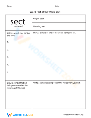 Word Part of the Week: 'Sect'