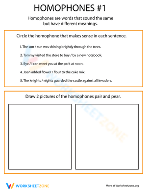 Practice Identifying Homophones