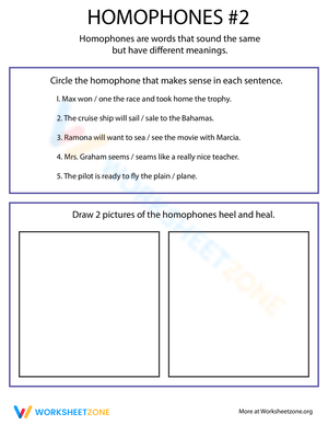 Homophone Practice