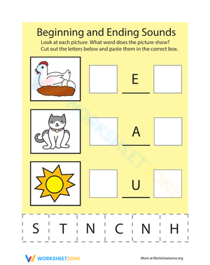 Beginning & Ending Sounds Practice