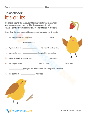 Homophones Grammar Practice