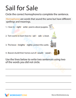 Sail or Sale Homophones Activities