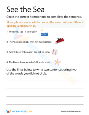 See the Sea Homophones Practice