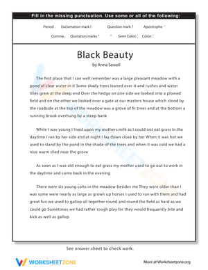 Practice Punctuation - Exercise 2