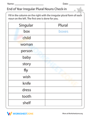 Irregular Plural Nouns Check-In