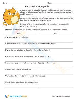 Puns with Homographs Exploration