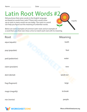 Exploring Latin Root Words to Enhance Vocabulary