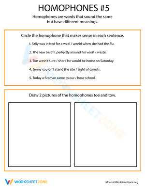 Homophone Practice: Sharpen Your Grammar Skills
