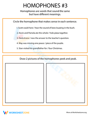Refine Homophone Practice Skills