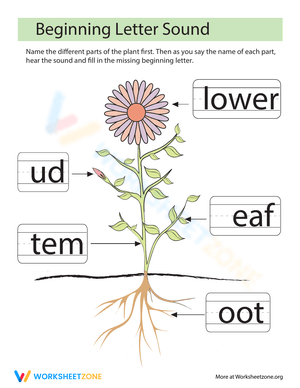 Missing Letters: Parts of a Plant