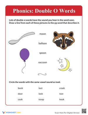Phonics Fun with 'oo' Words Worksheet