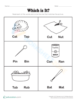 Which Spelling is It? Worksheet
