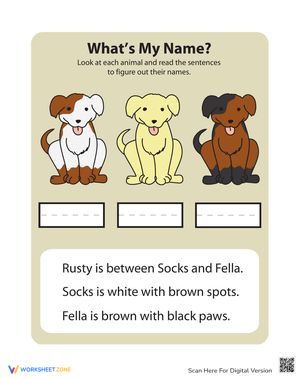 Animal Logic Puzzle Worksheet 
