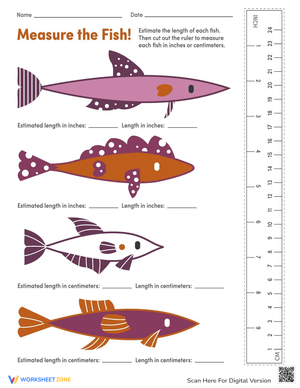 Measuring Fish In Centimeters