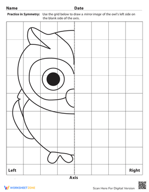 Learning Symmetry with Owls