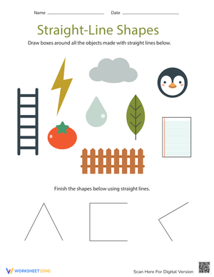 Identify Shapes with Straight Lines